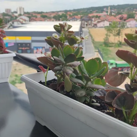 022 * Smederevska Palanka